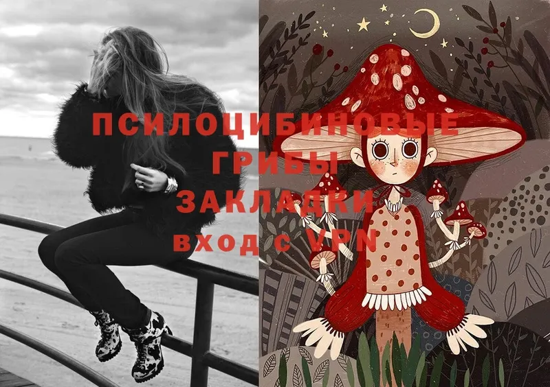 Псилоцибиновые грибы Magic Shrooms  Лакинск 